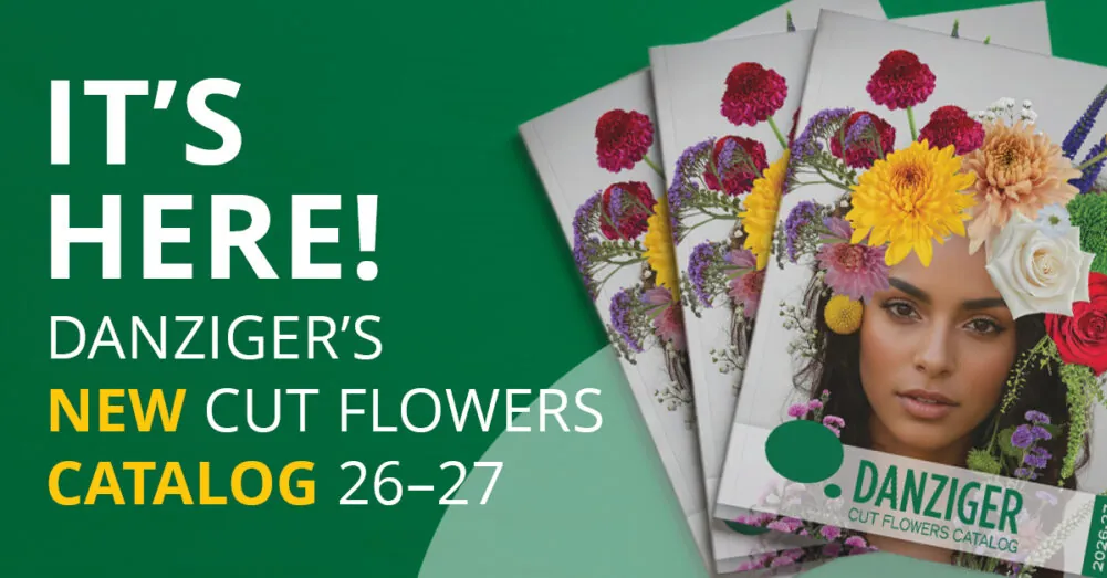 CUT FLOWERS NEW CATALOG 26-27_08_5_Linkedin
