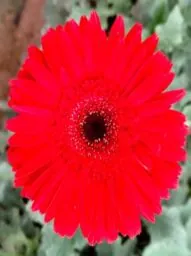AGNI™