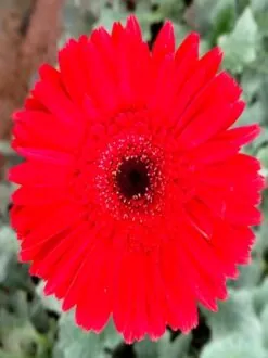 AGNI™