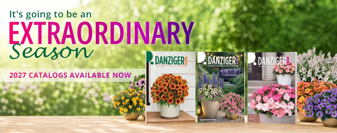 Digital Catalog Background