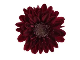AMOR™ STARFIRE