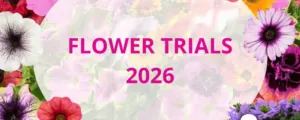 Flower Trials 2026