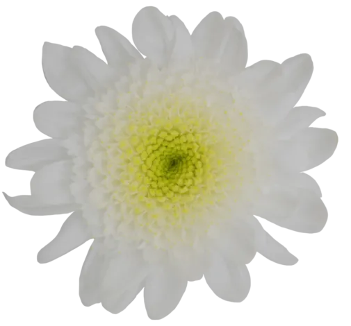 EMPATIA™ ANEMAR