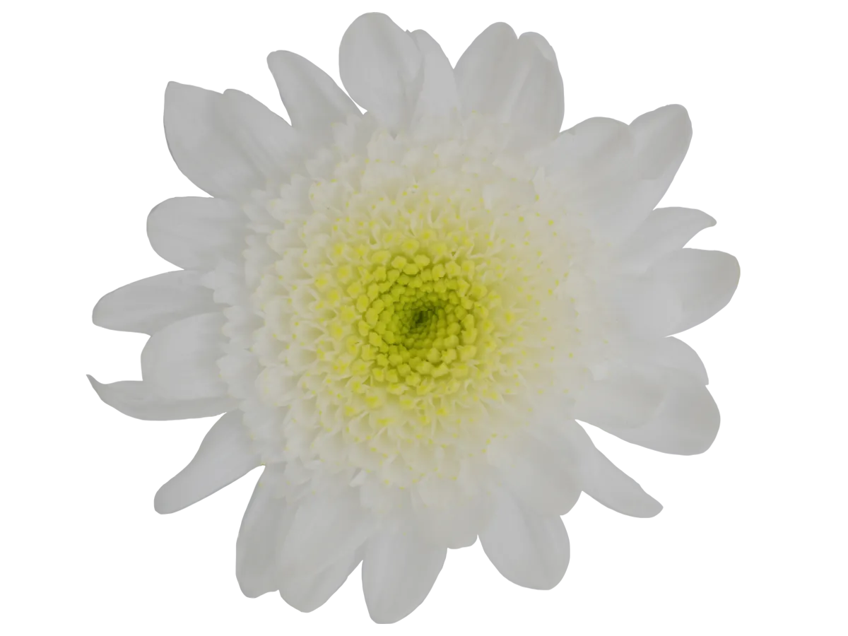 EMPATIA™ ANEMAR