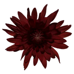 PASION™ RED COPPER