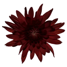 PASION™ RED COPPER