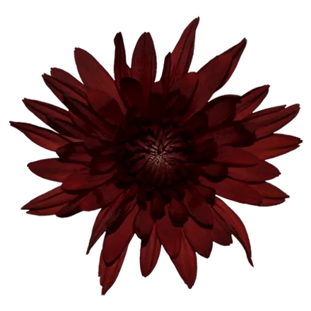 PASION™ RED COPPER