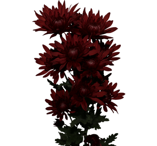 PASION™ RED COPPER