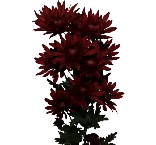 PASION™ RED COPPER