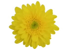 EMPATIA™ SOLARIS