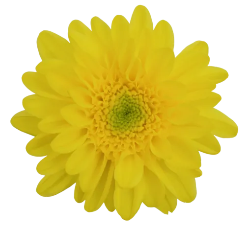 EMPATIA™ SOLARIS