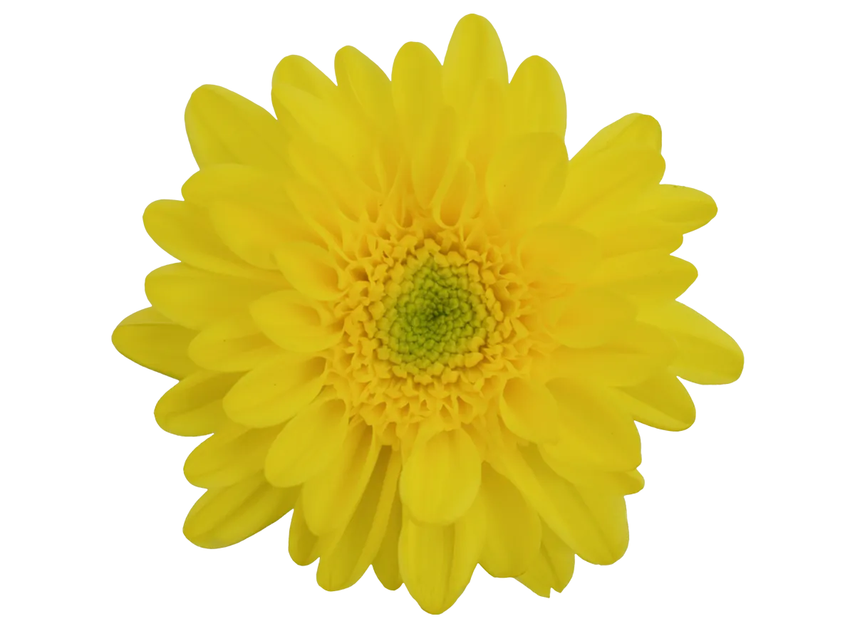 EMPATIA™ SOLARIS