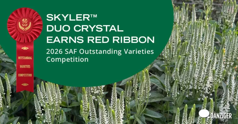SKYLER™ DUO CRYSTAL Earns Red Ribbon at the 2026 SAF Outstanding Varieties Competition