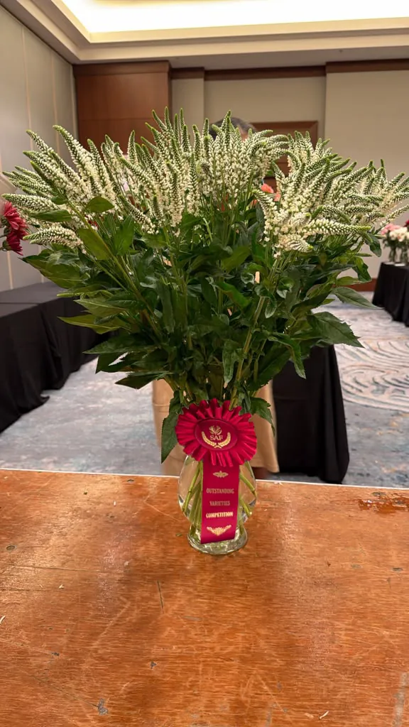 SKYLER™ DUO CRYSTAL Earns Red Ribbon at the 2026 SAF Outstanding Varieties Competition