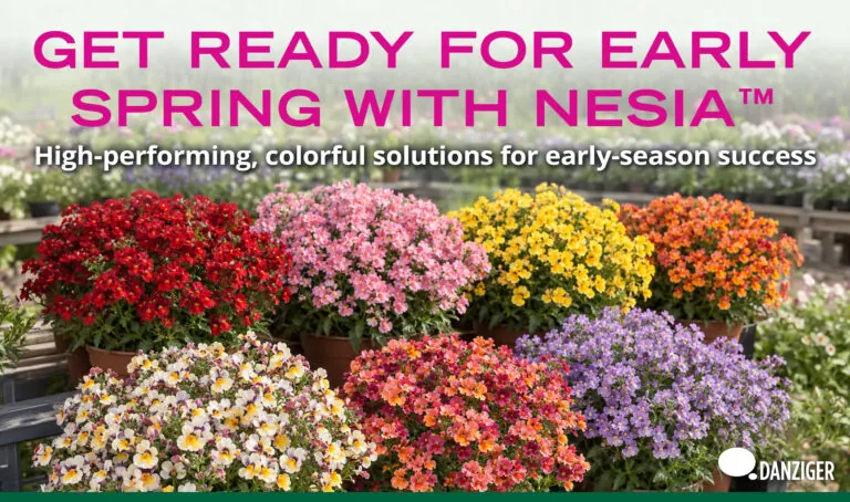 Get Ready for Early Spring with NESIA™